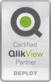 BI_qlikview-partner_Logo